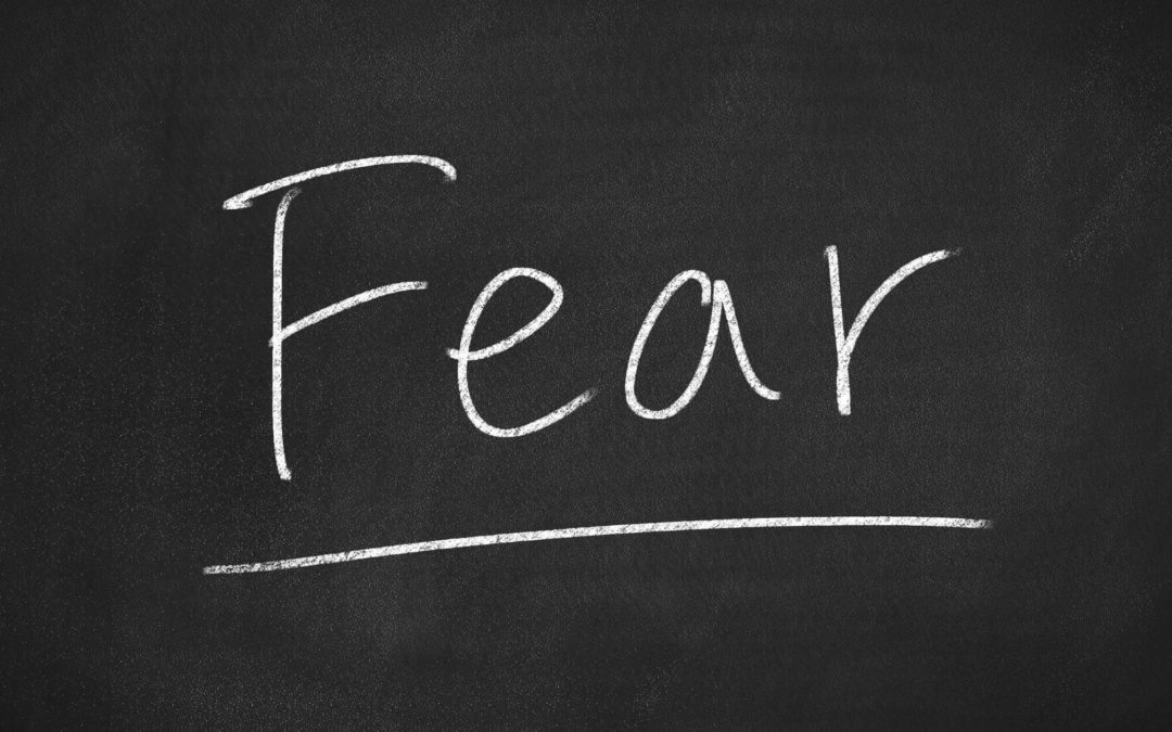 Fear and success
