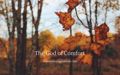 10 passages of scripture that offer comfort.