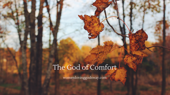#bibleverses #comfort #worry