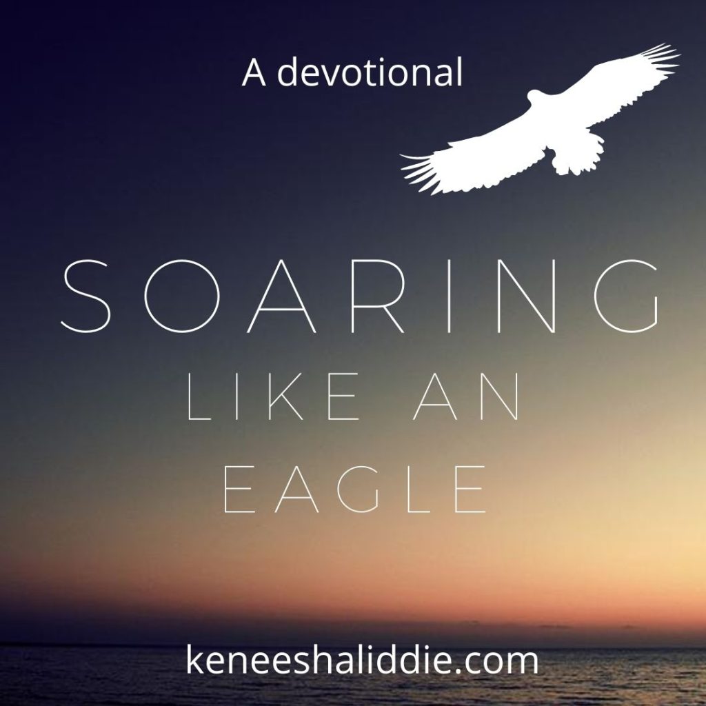 soaring like an eagle his encouragment #9