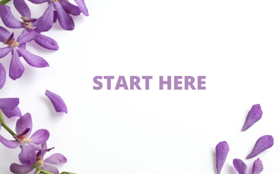 White background with purple flower and text that reads, start here